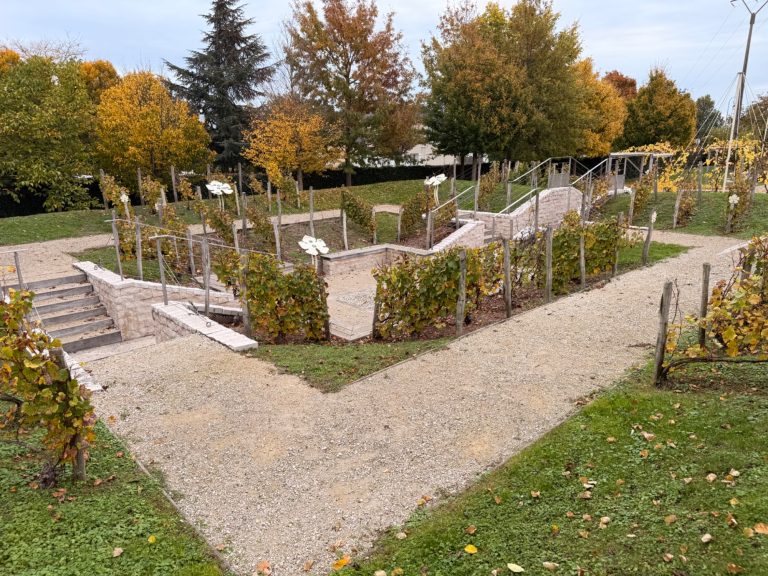 Champagne Experience Oktober 2025